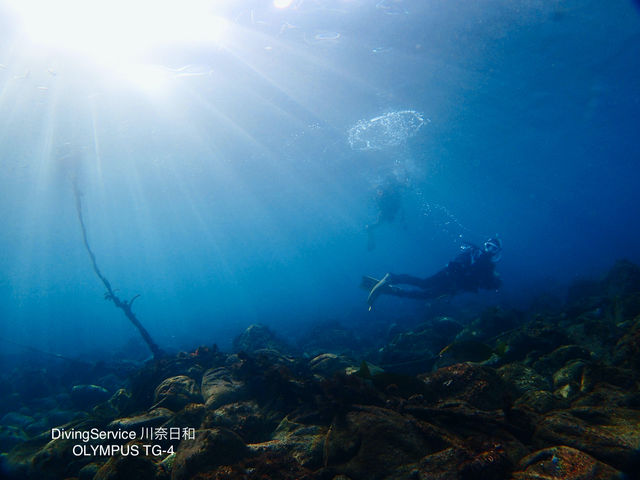 DivingService 川奈日和