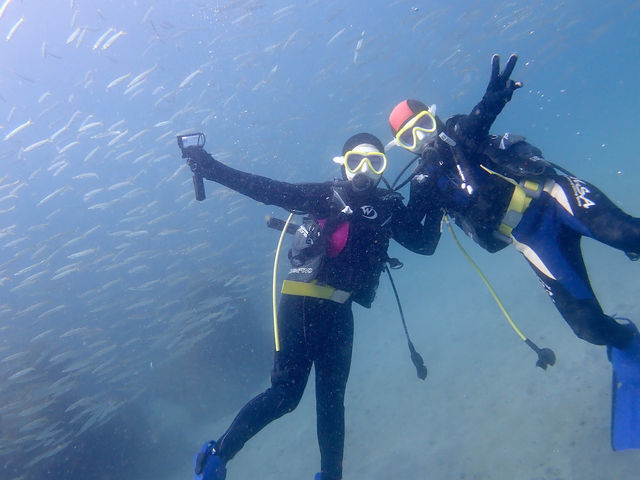 DivingService 川奈日和