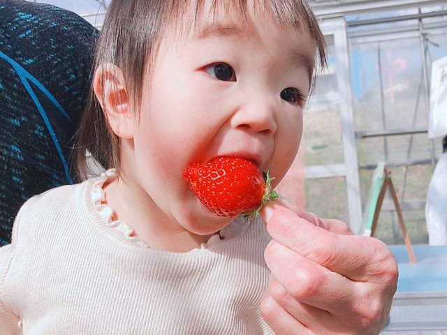 40分間食べ放題です!_くぼいちご園