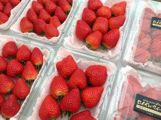 ストロベリーフィールズ ナカヤマ