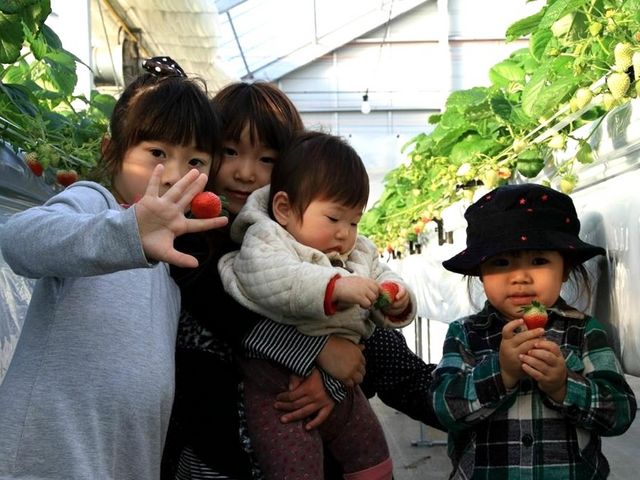 一苺一笑 松森農場