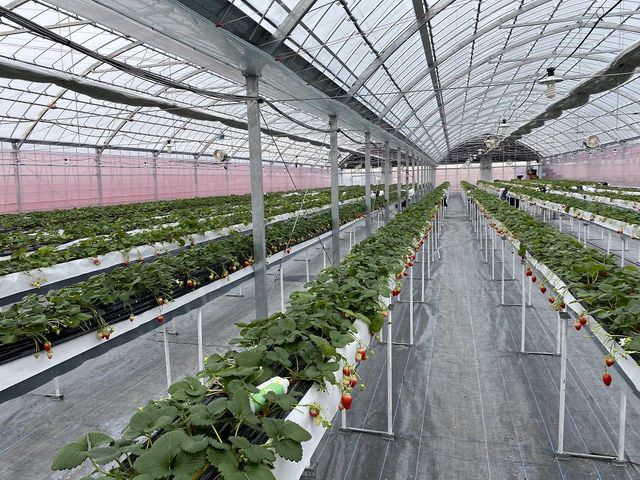 北村農園