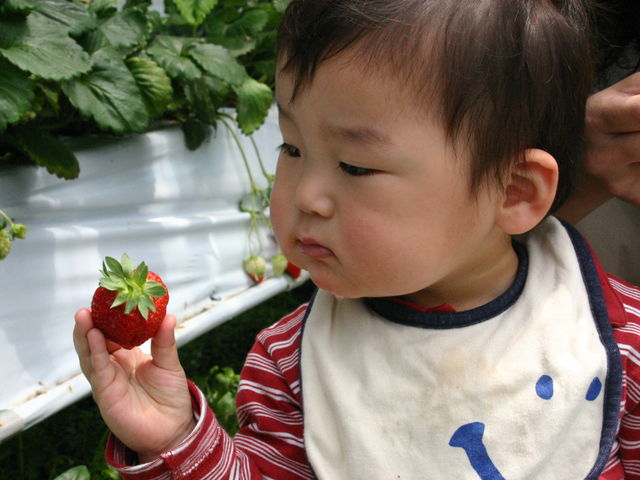 ひがし農園