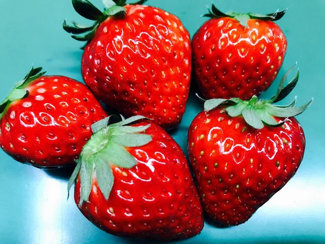 前川いちご園