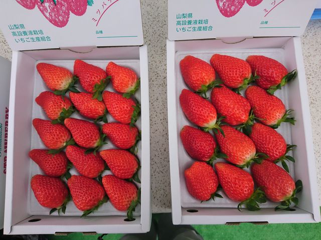 おくやま果寿園