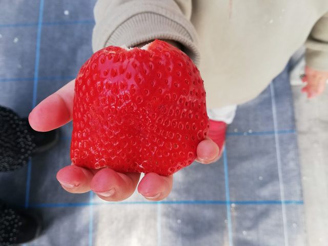 おくやま果寿園