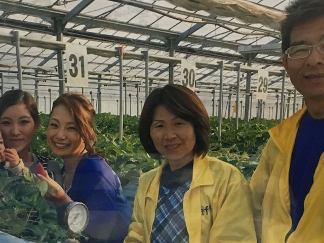 いちかわベリーハウス