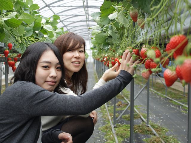 玉城ふれあい農園
