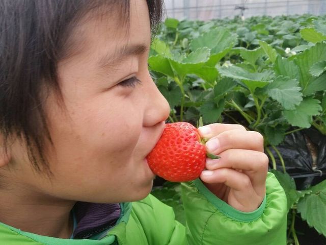 34Garden(株)三豊 大宮店