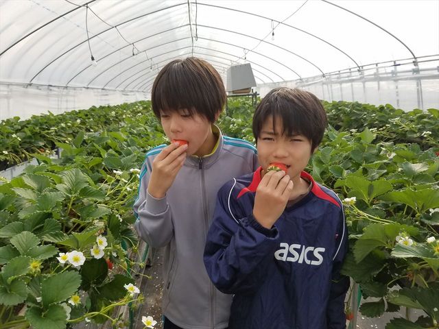 34Garden(株)三豊 大宮店