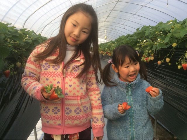 34Garden(株)三豊 大宮店