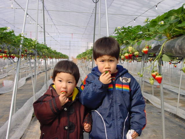 34Garden(株)三豊 大宮店