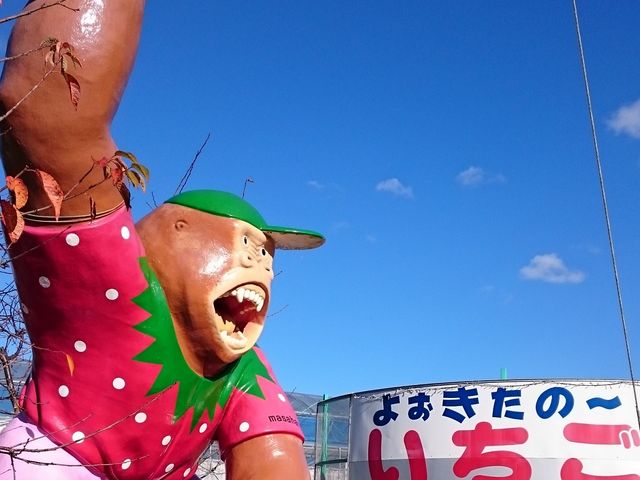 島野農園