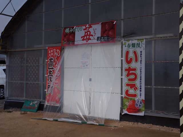 ゆめ農園 晴