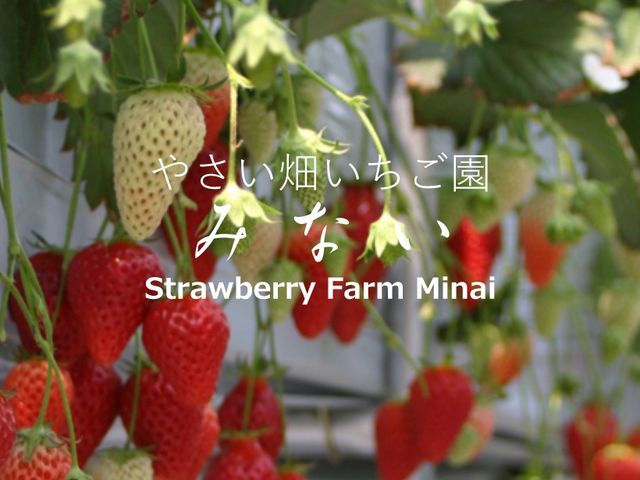 いちご園みない