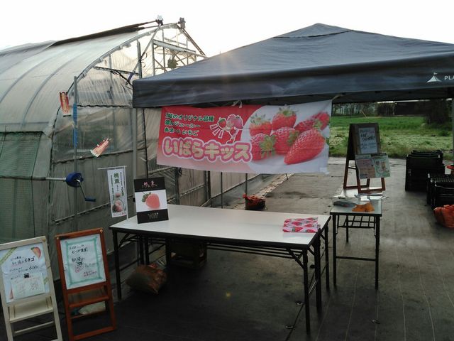 むつみ農園