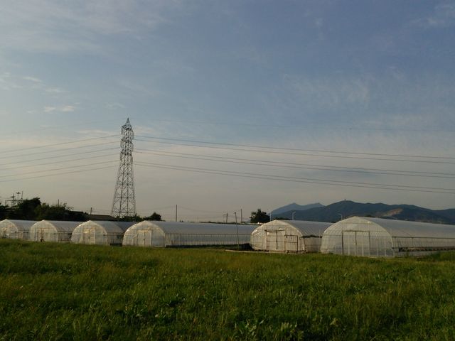 むつみ農園