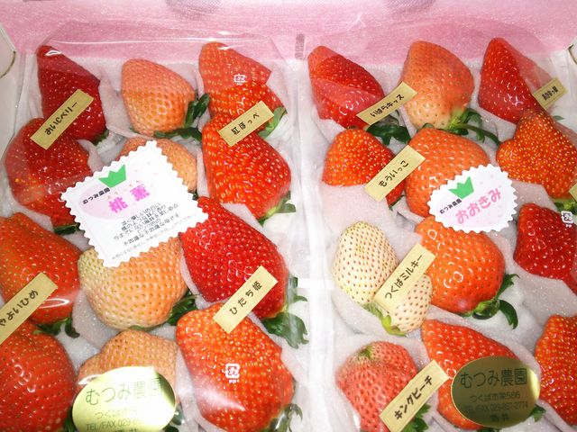 むつみ農園