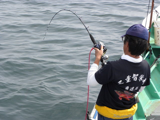 智栄丸