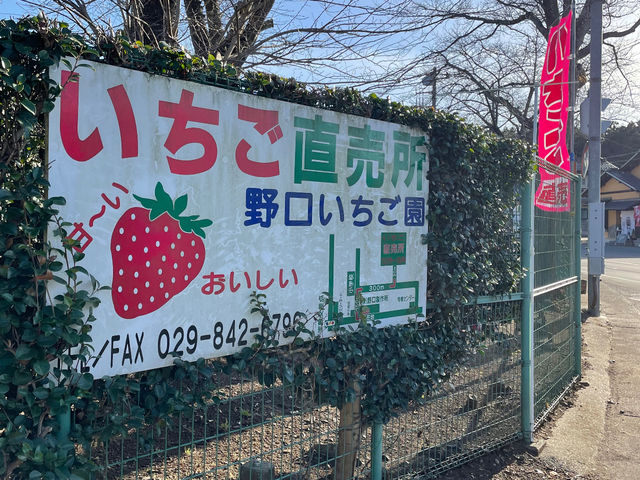 野口いちご園