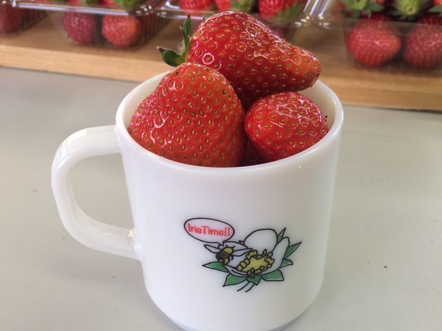 おひさまのいちご園