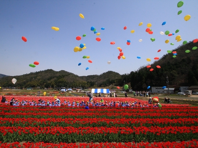 2013写真コンテスト最優秀賞_一般社団法人但東シルクロード観光協会