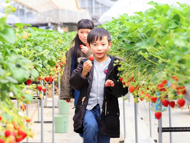 子供たちもおおはしゃぎの果物狩り♪_TENDO DAYS