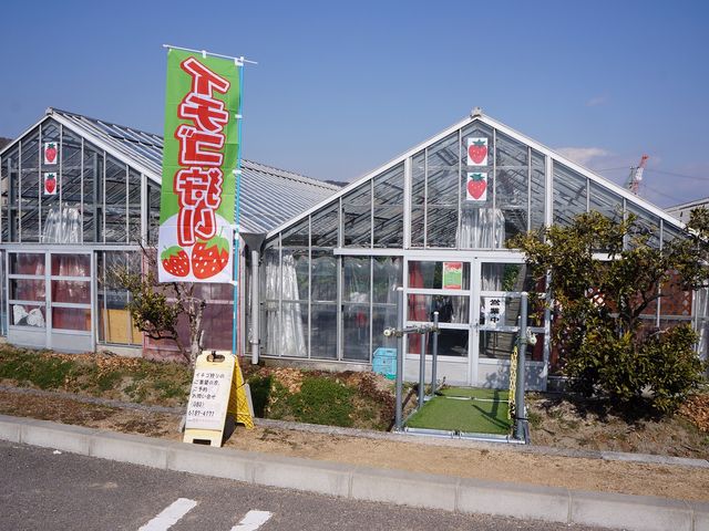 東浦イチゴファーム