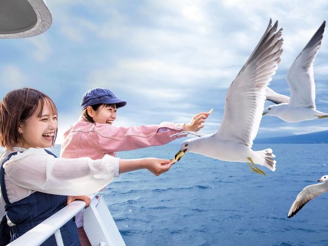 可愛い鳥たちと戯れる事も!?_ちどり沼津港遊覧クルーズ