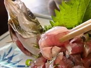 第一富士丸食堂の写真1