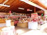磯山観光いちご園の写真4