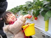 そら野テラスの写真2