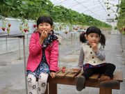 フルーツガーデンやまがたの写真3