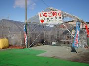 苺園かめハウスの写真3