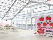 苺園いちごめぐりの写真4