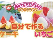 ベリーズファンの写真2