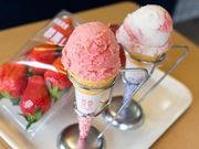 須田いちご園の写真3