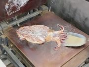 海鮮せんべい塩竈の写真4