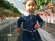 農事組合法人 たてやま営農組合の写真2