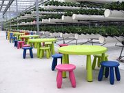 阿蘇健康農園の写真2