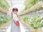 阿蘇健康農園の写真3