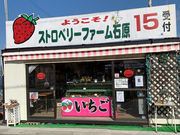 ストロベリーファーム石原の写真3