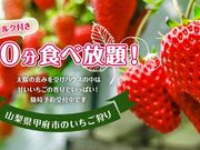 ストロベリーファーム石原の写真2