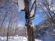 武申 北海道の写真2