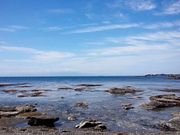 EARTHの写真2