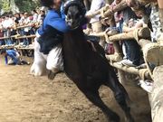 春日神社の写真2