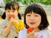 ガイヤファーム(横田ファーム)の写真4