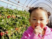 原文農園の写真2