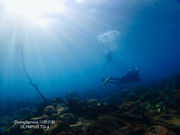 DivingService 川奈日和の写真3
