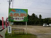 南知多町観光協会の写真4